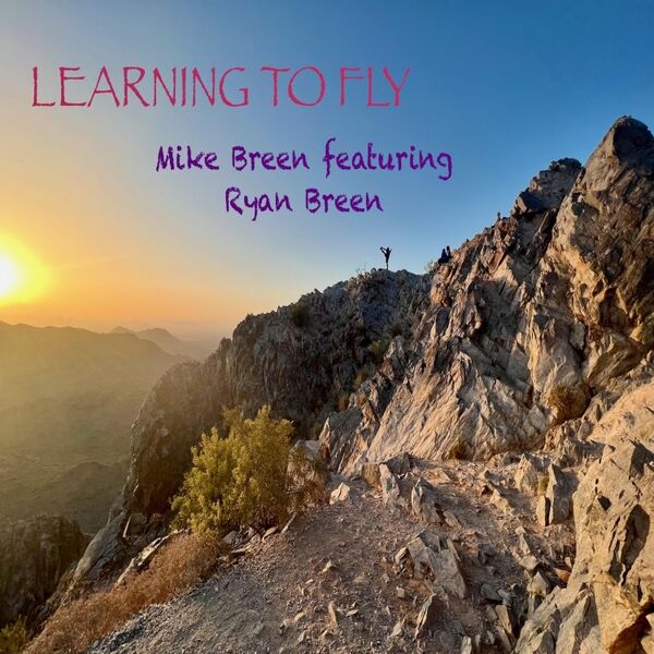 Cover art for Learning To Fly
